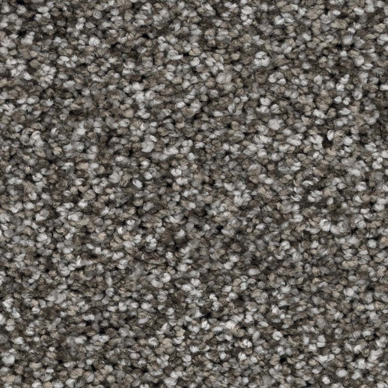 Moquette velours frisé zephir 650 zibeline coloris taupe