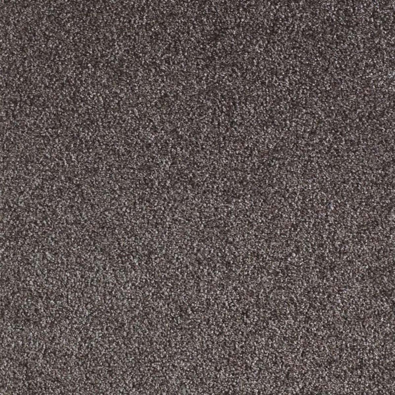 Moquette velours frisé zephir 670 opium coloris chocolat