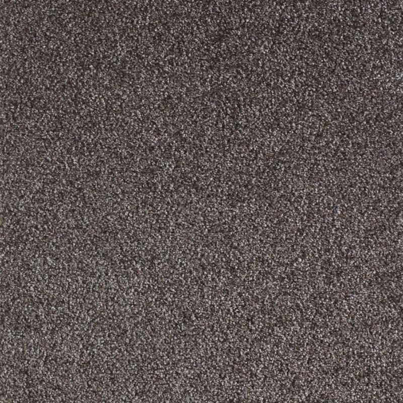 Moquette velours frisé zephir 670 opium coloris chocolat