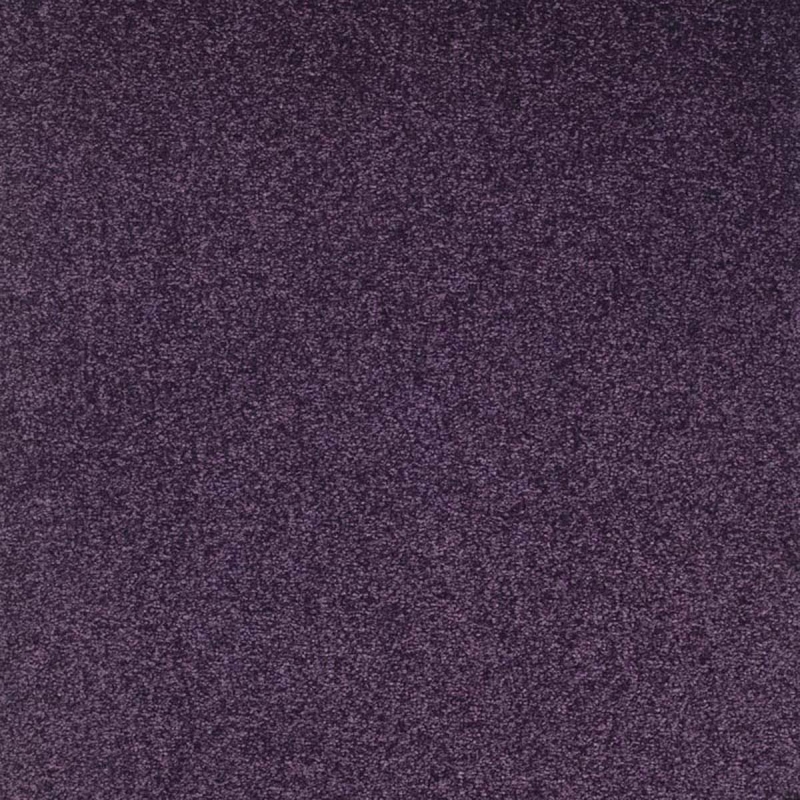 Moquette velours ras satiné zonda 870 pourpre coloris violet