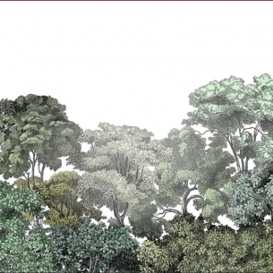 Bellewood Rebel Walls